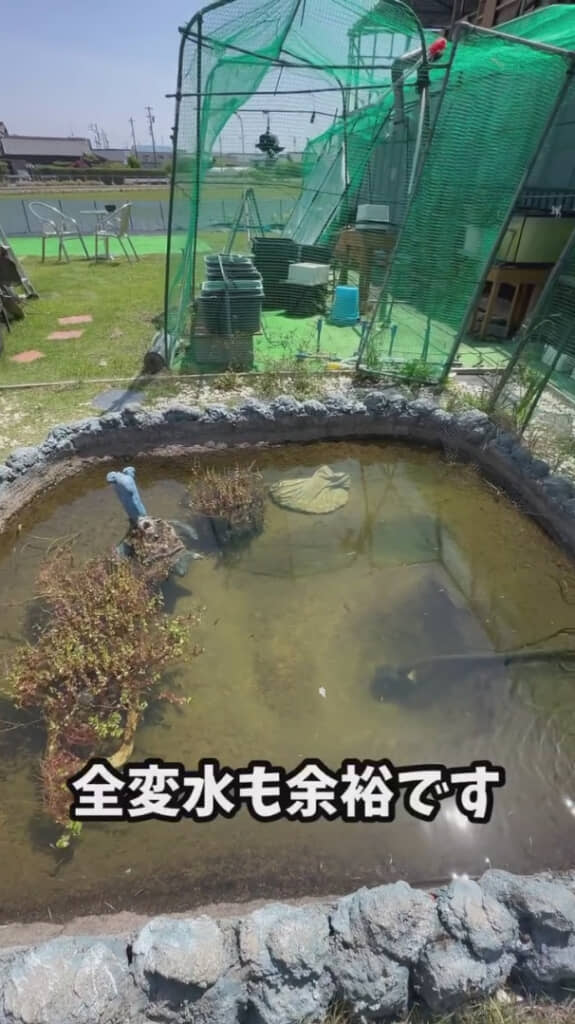 水の入れ替えもお手の物