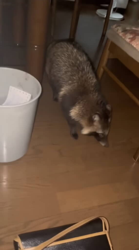 侵入者とは思えないリラックスぶり