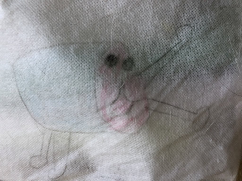 昔描いたどんちゃん