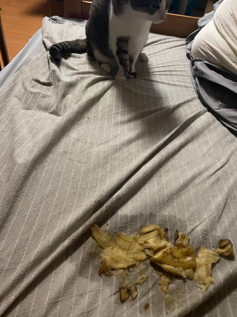 まさかのバナナ!?