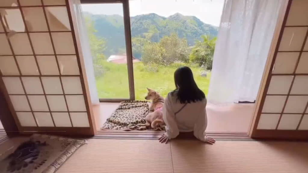 憧れの縁側でリラックス