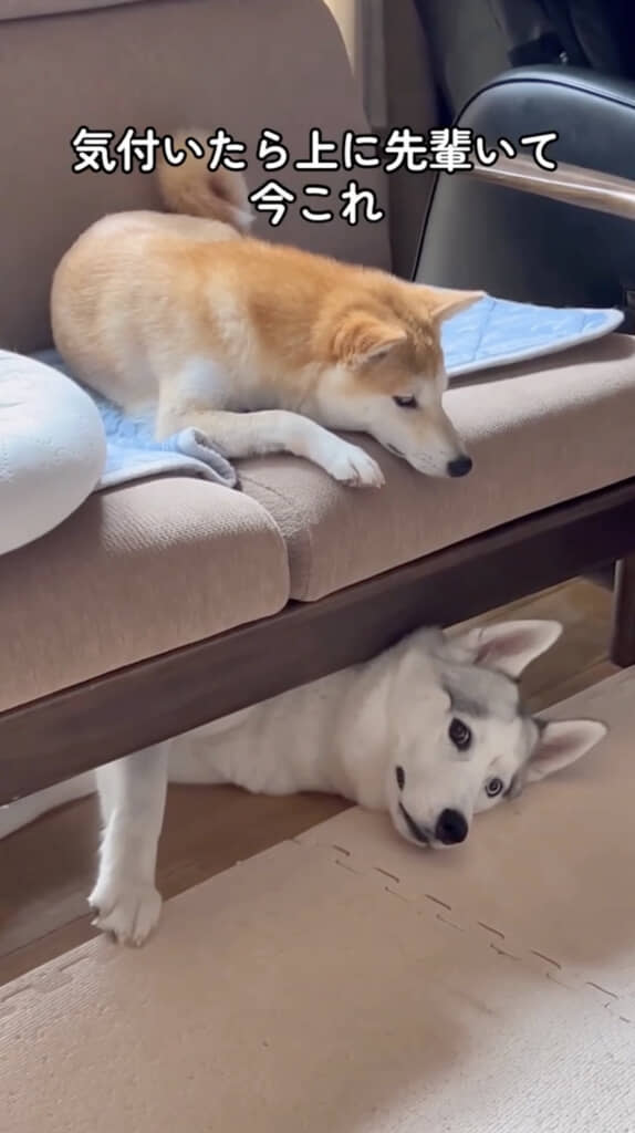 顔をそむけて見ないフリ