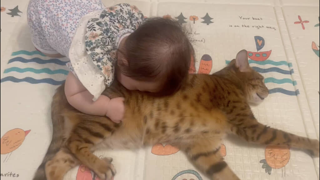 スゥゥーーー……