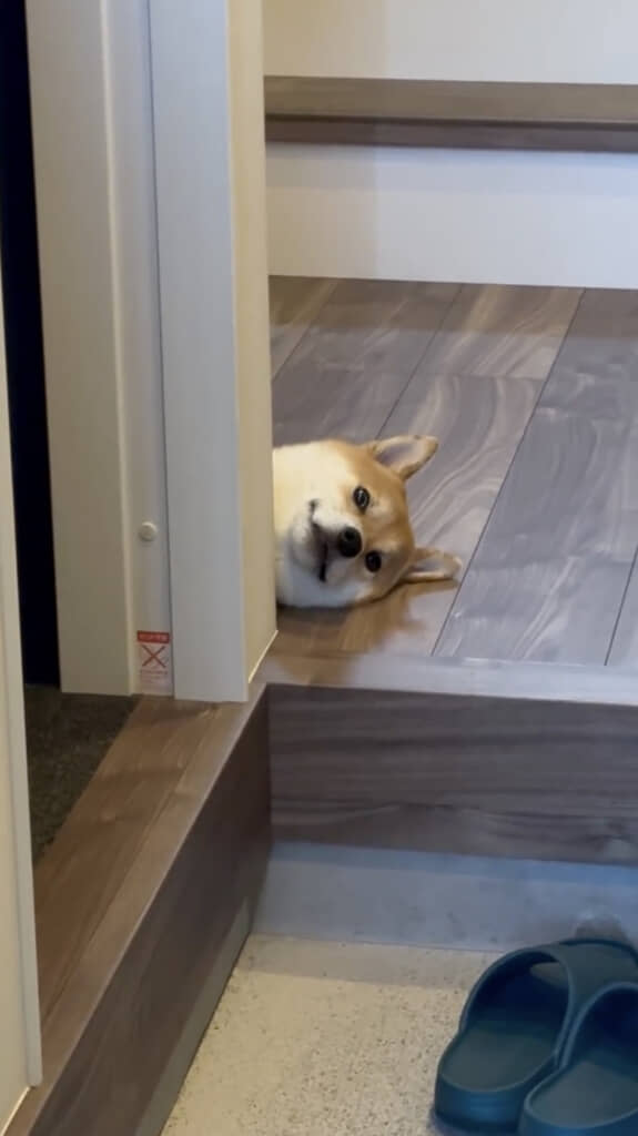 なんという虚無顔