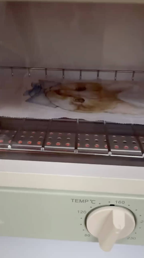 加熱すると……