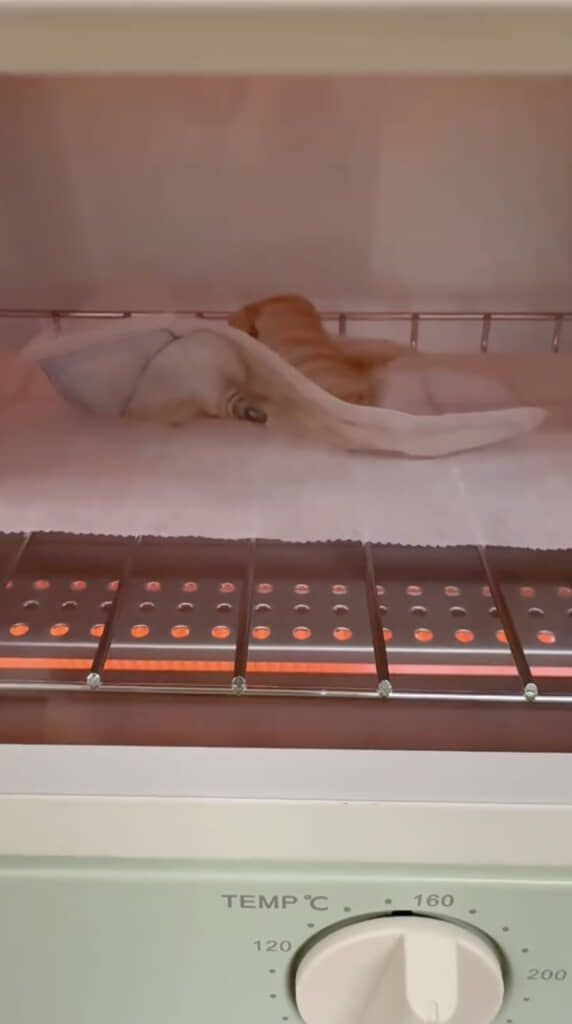 ぐにゃんぐにゃんに！