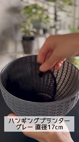 使用するダイソーのハンギングプランター