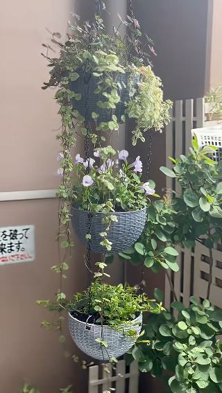 ハンギングプランターが3段に