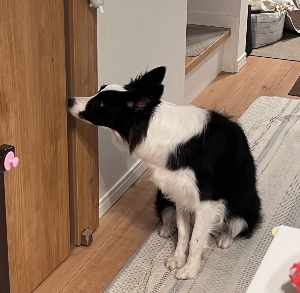 17時過ぎからパパさんの帰りを待ってソワソワしているエマちゃん