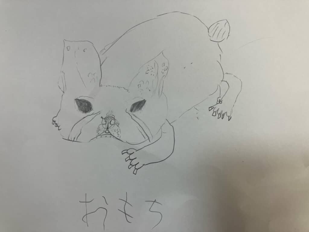 一緒に暮らしているフレンチブルドッグのおもちちゃん