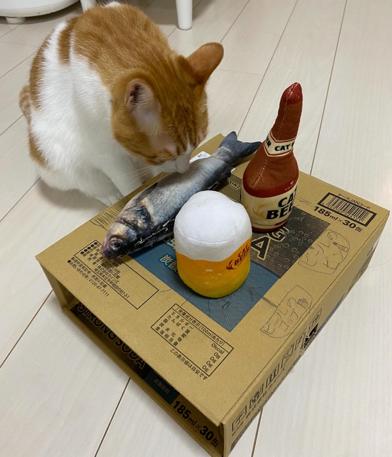 はっさくくんのために作った段ボールのテーブル