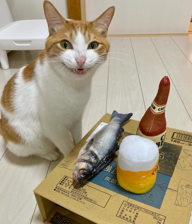 ちょっと怖い！