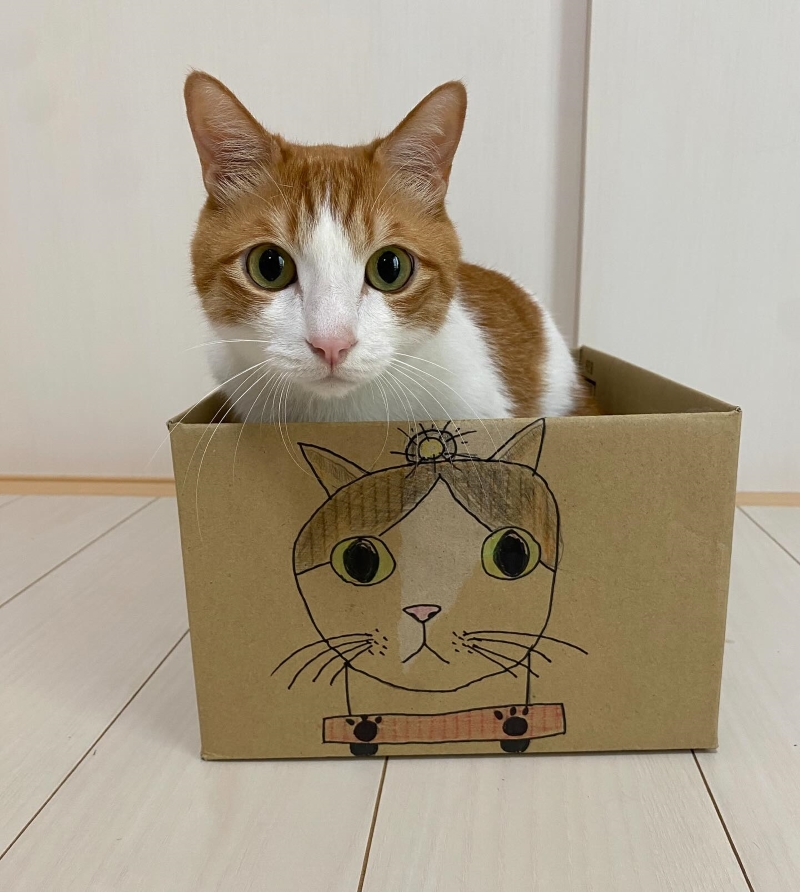 娘ちゃんが絵を描いてくれた段ボール列車に入っているはっさくくん
