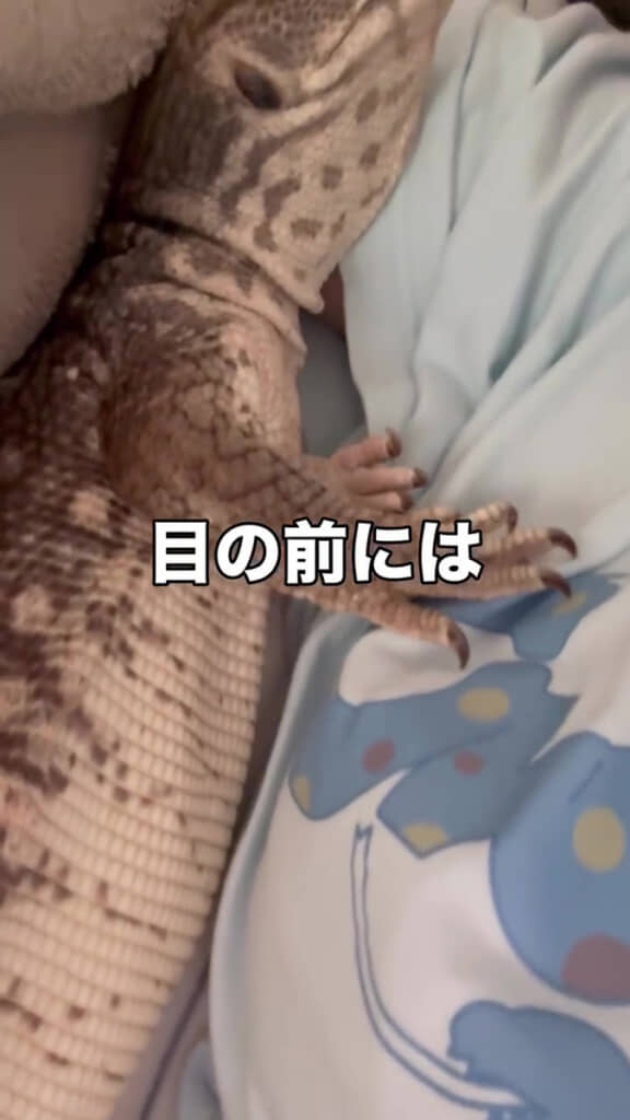 眠っている間に腕に“侵入”してきたのは……