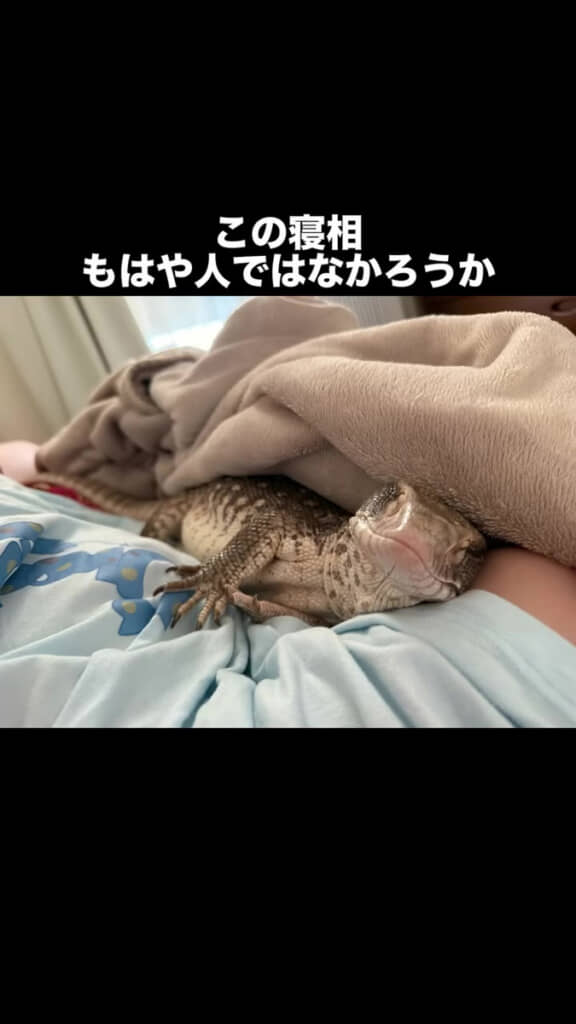 飼い主さんにぴったりと密着