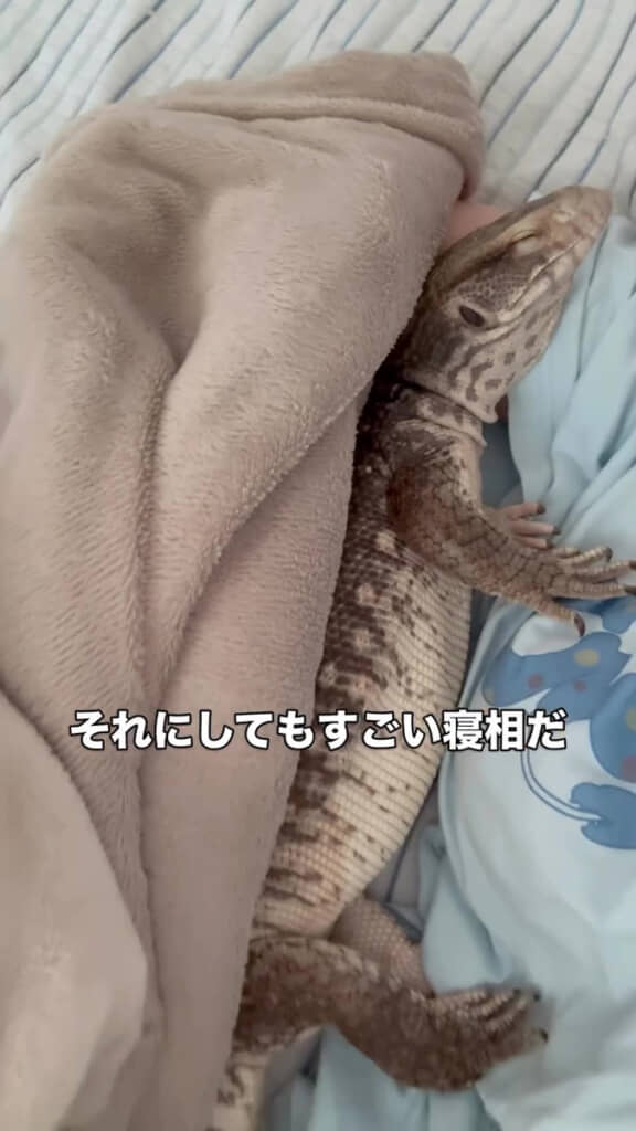 体を預けきっています