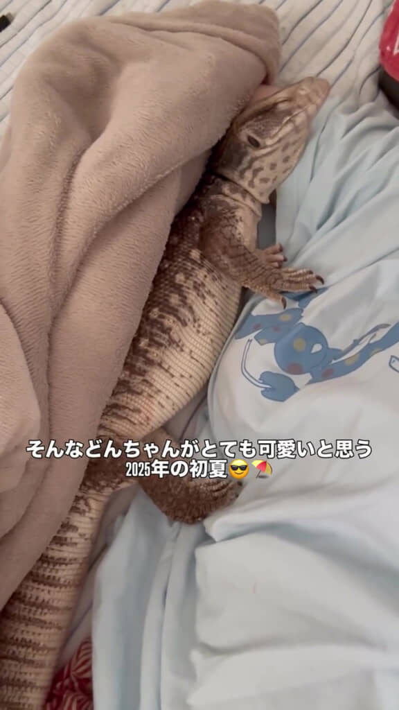 愛おしすぎてパンのことはもう二の次