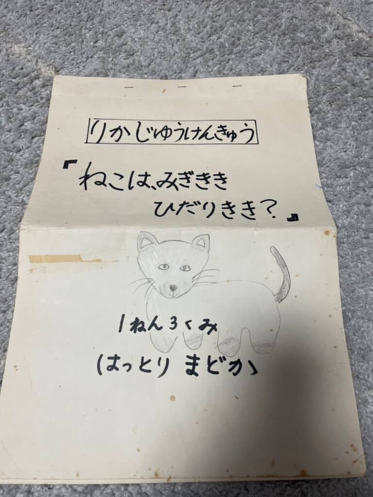 小学1年生のときに実験したネコの利き手を調べる自由研究の表紙