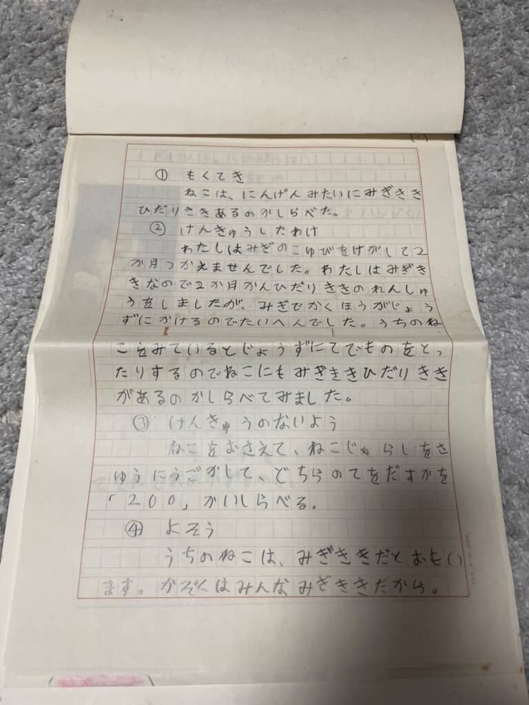 目的や背景、実験内容、予想が書かれている研究報告書の2枚目