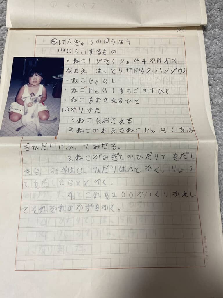 ネコの名前や表に記すマークの解説が書かれている研究報告書の3枚目