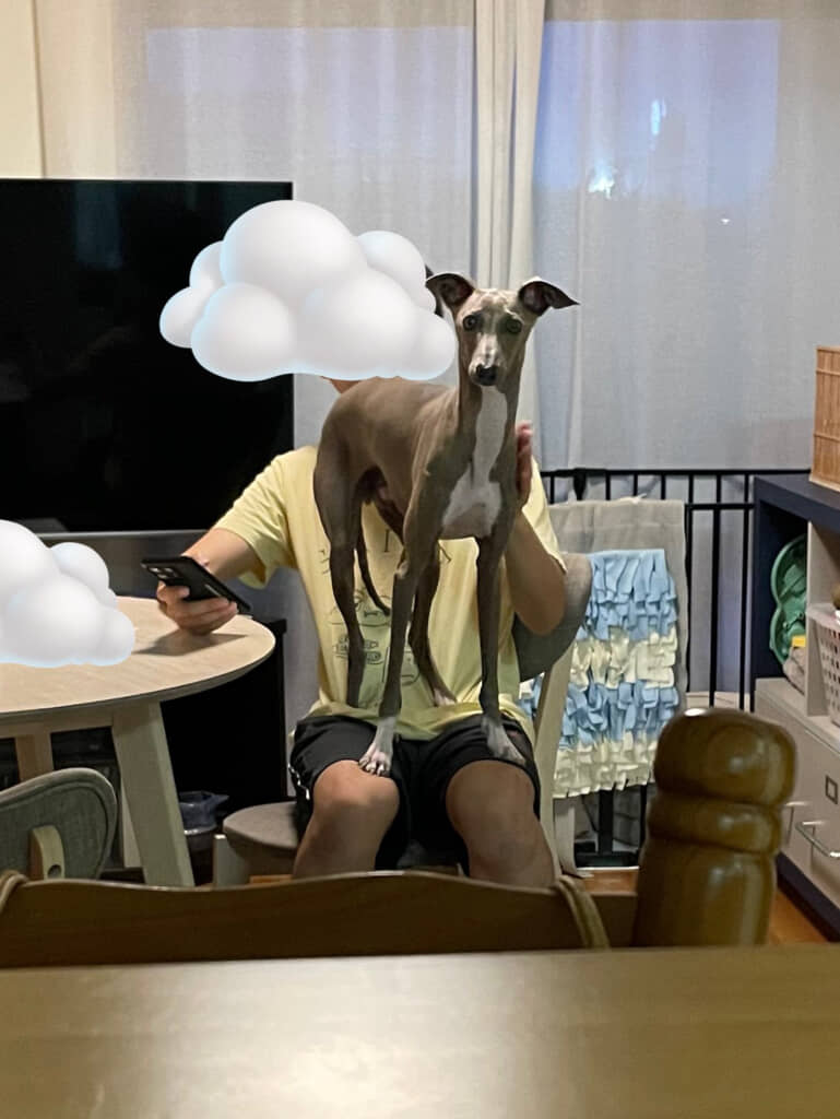 うーん、これは仕方なし！