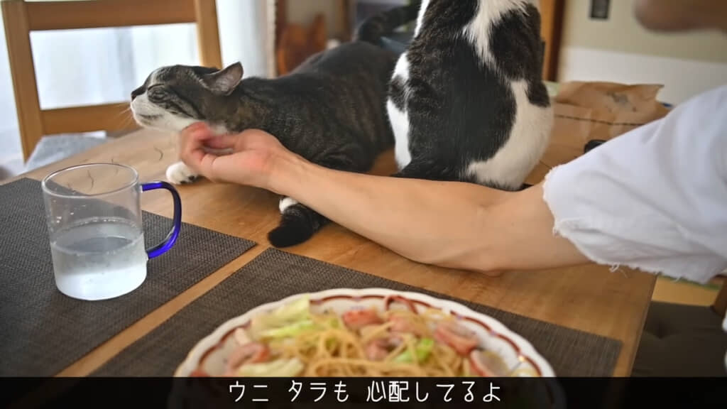 本調子ではない様子のボブさん