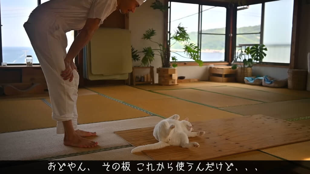 これから使う板の上でごろごろ