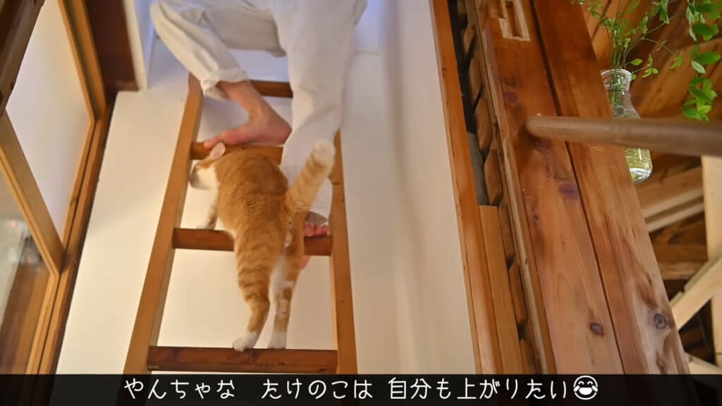 たけのこくんも一緒に行こうとしたけれど