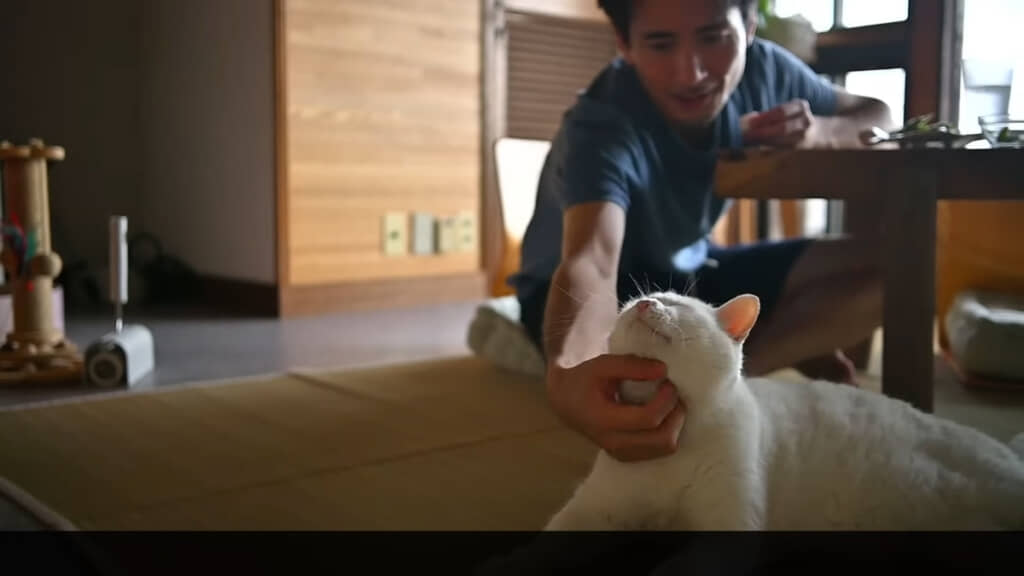 猫たちを愛し愛されるボブさんなのでした