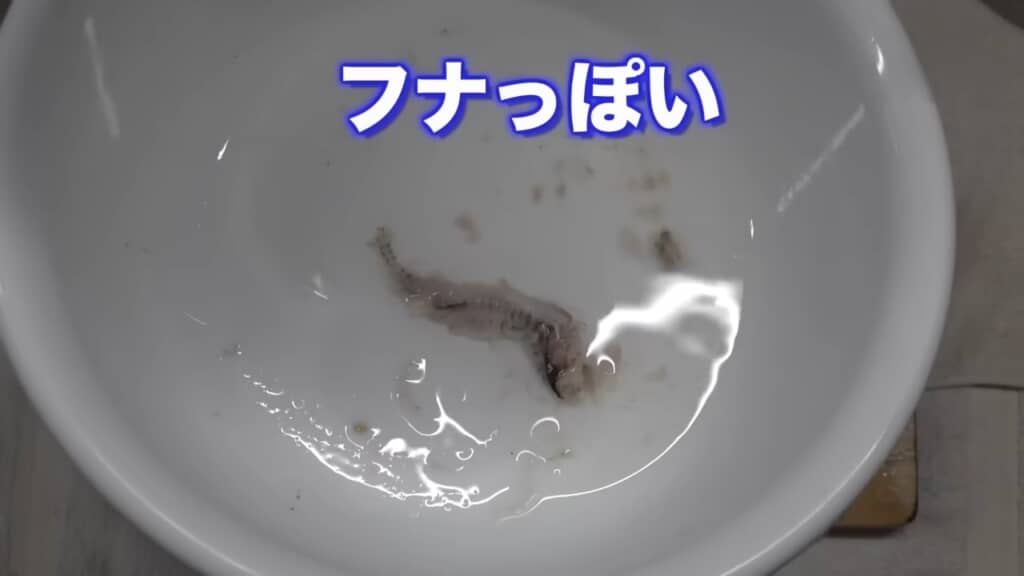 胃袋からはフナのようなものが