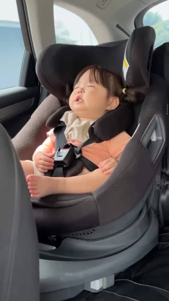 この「ぴーぽーぴー……」の3秒後に寝落ち