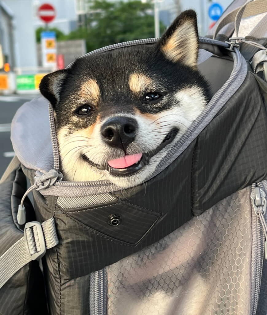 なんて幸せそうなほほ笑み……