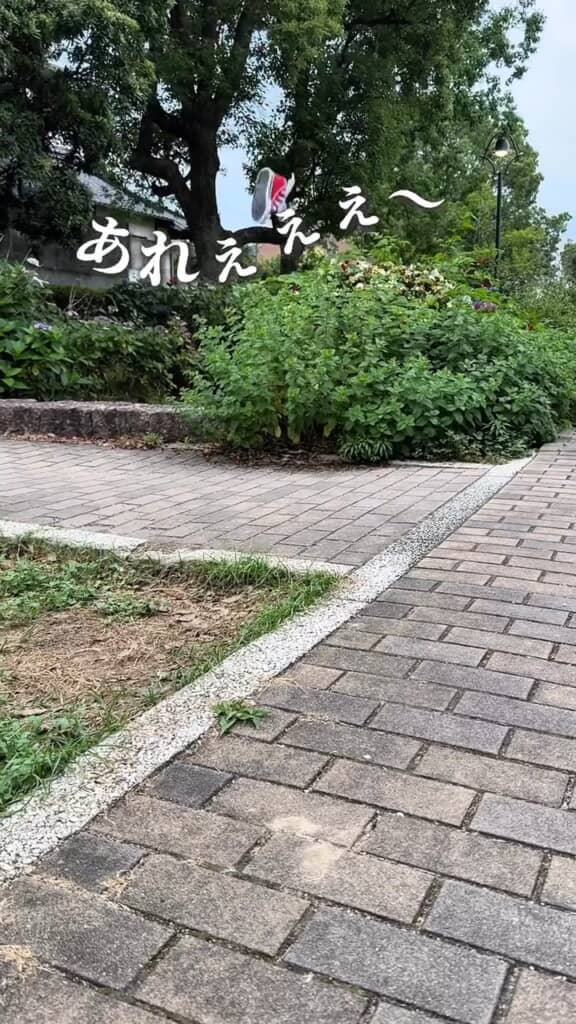 あっさりシュポーン