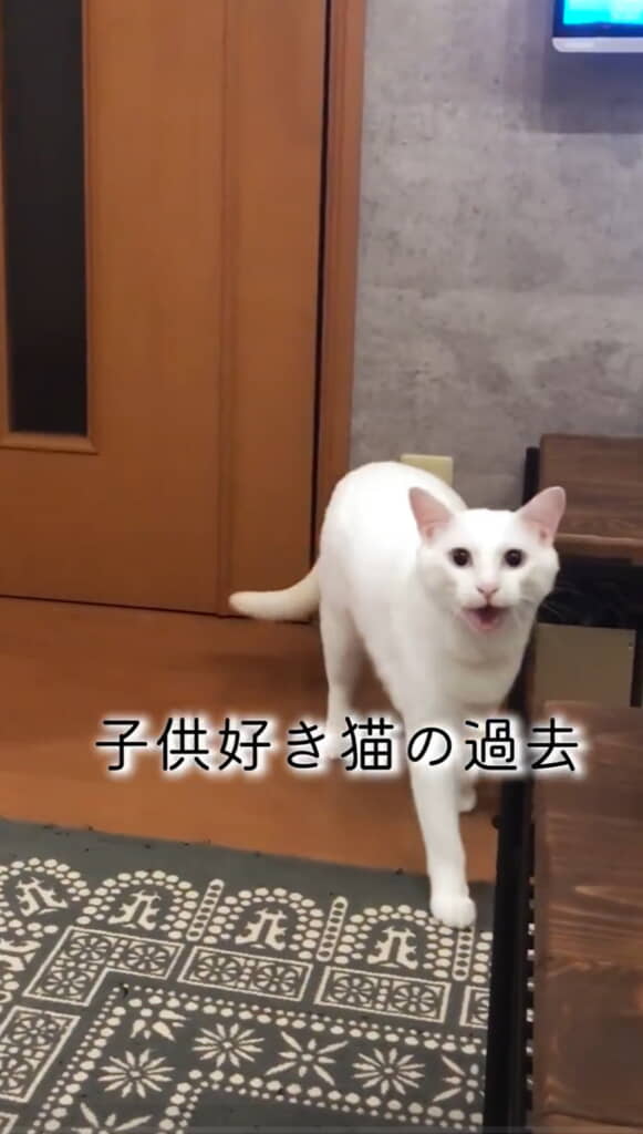 過去のブラン君