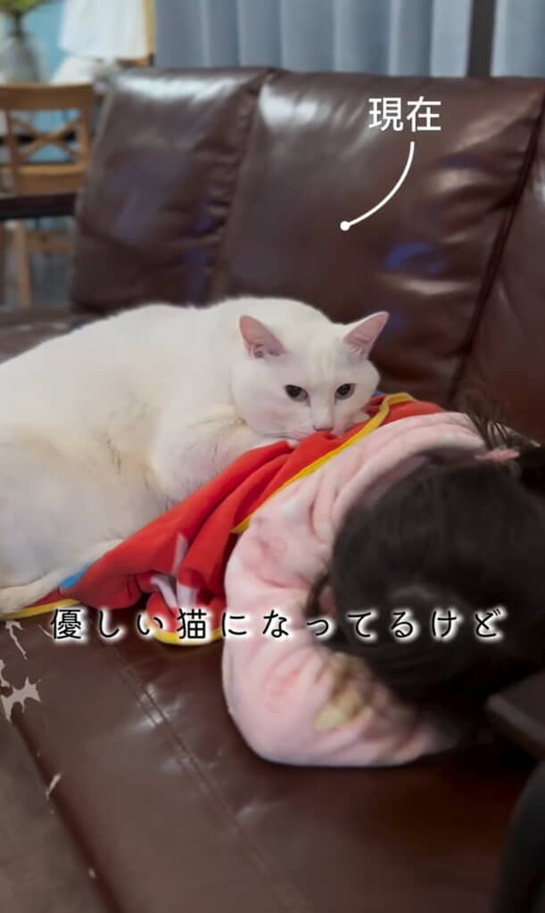 優しいブランくん