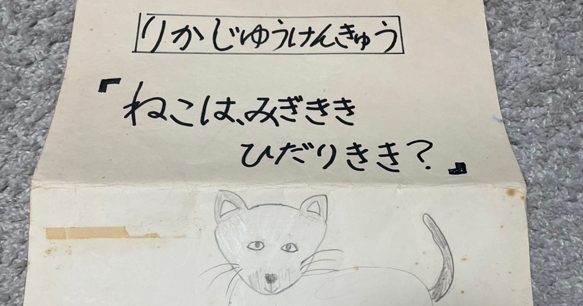 小1の自由研究で“猫の利き手”を200回調べたら……「お手本のよう」「博士になる才能では、と思ったら」　まさかの結末が1800万表示（1/3） | ライフスタイル ねとらぼ