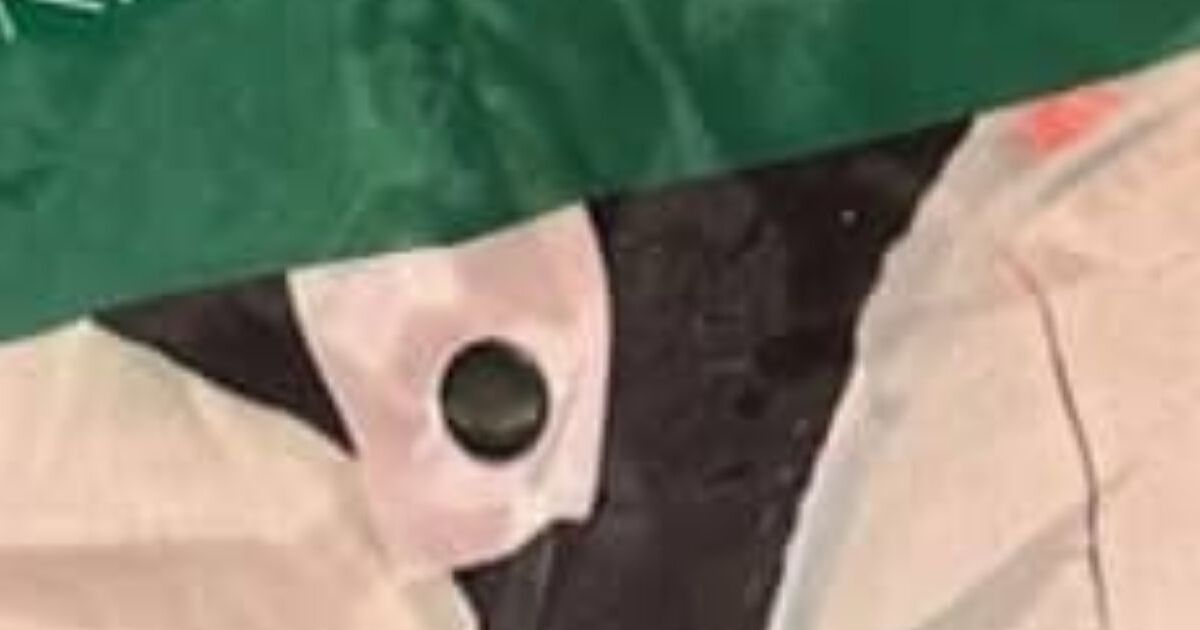 万博へ行く小6息子に4000円持たせたら……　帰宅後、まさかのお土産にママ仰天「コレなに？」「ミャクミャクよりこっちが良い」 | ライフスタイル ねとらぼ