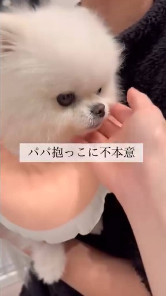 ハヌルくんの反応