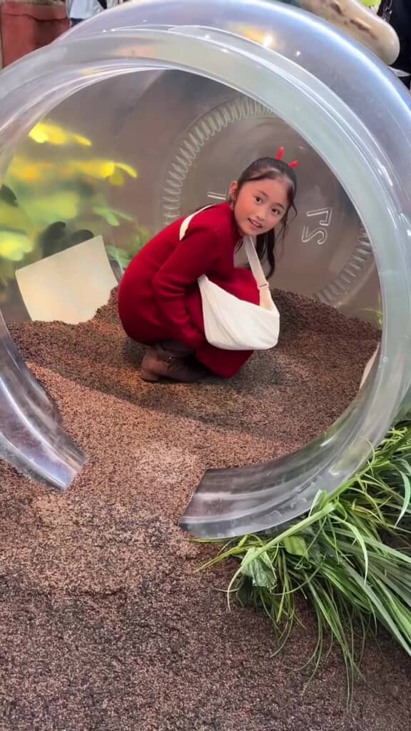 瓶の中にも入ります