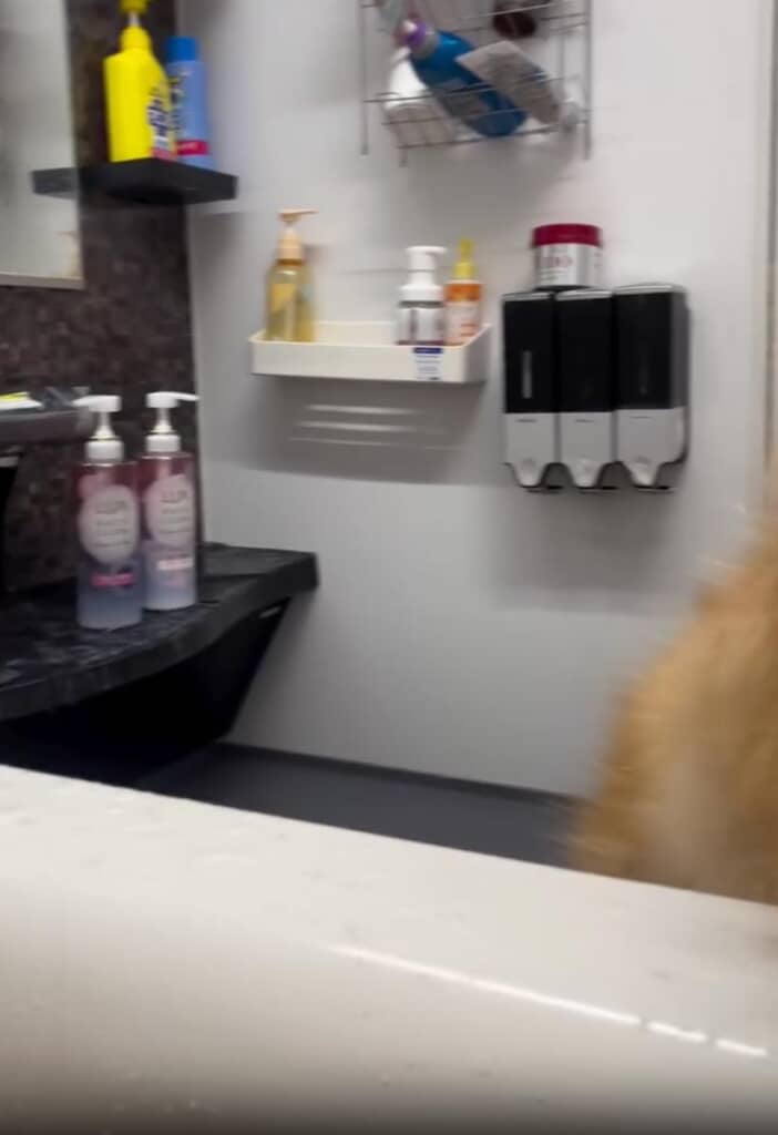 なんだか視線を感じるぞ……