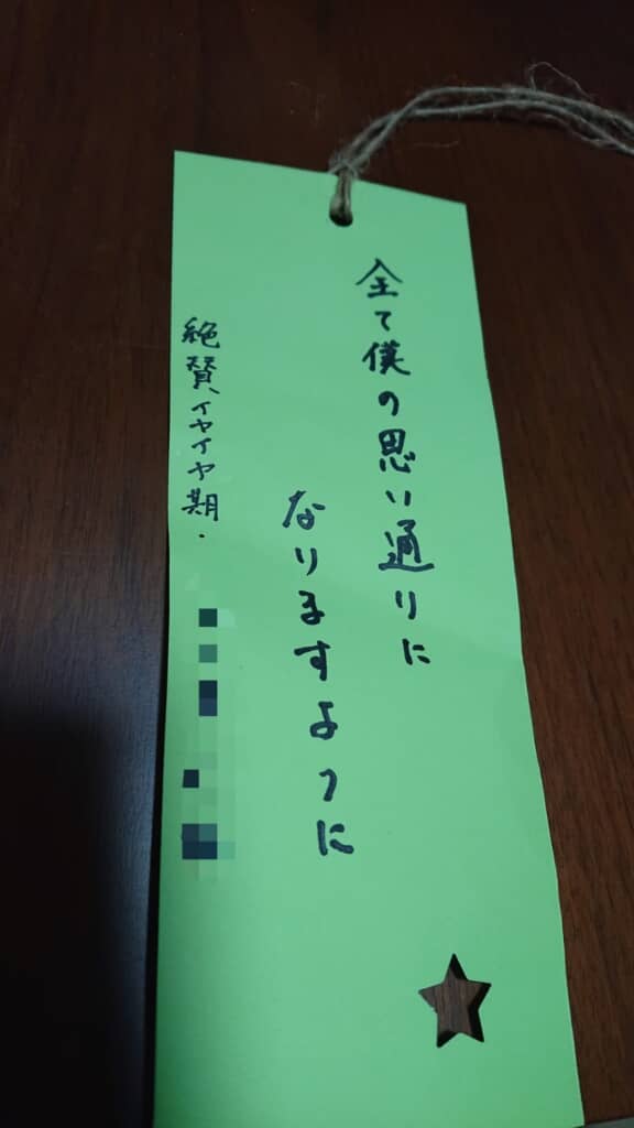 世界征服を企んでそうな願い事だ！