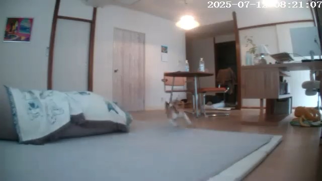 いん花ちゃん！