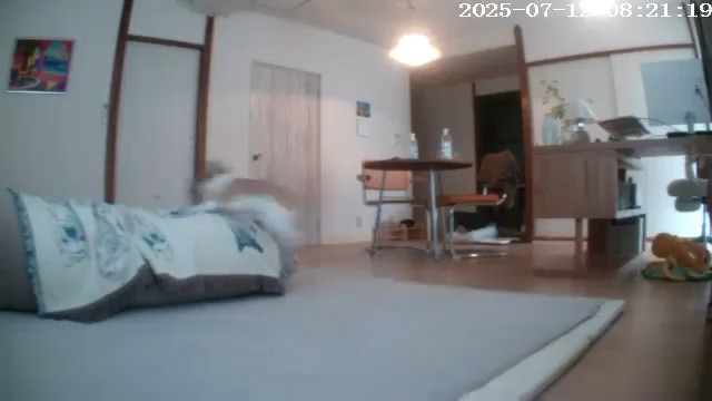 残像しか見えない……