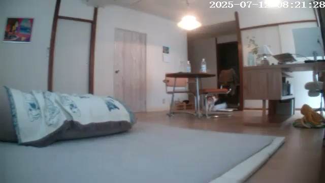 ぶん太くんもずっと映っていました