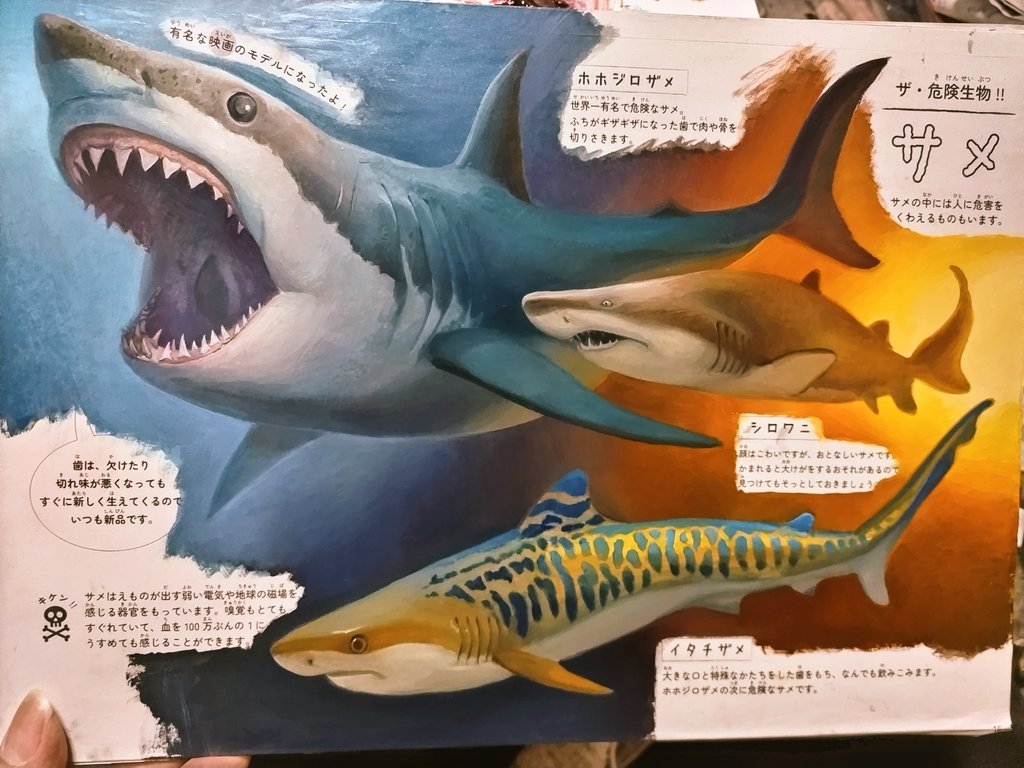 プロが塗った塗り絵