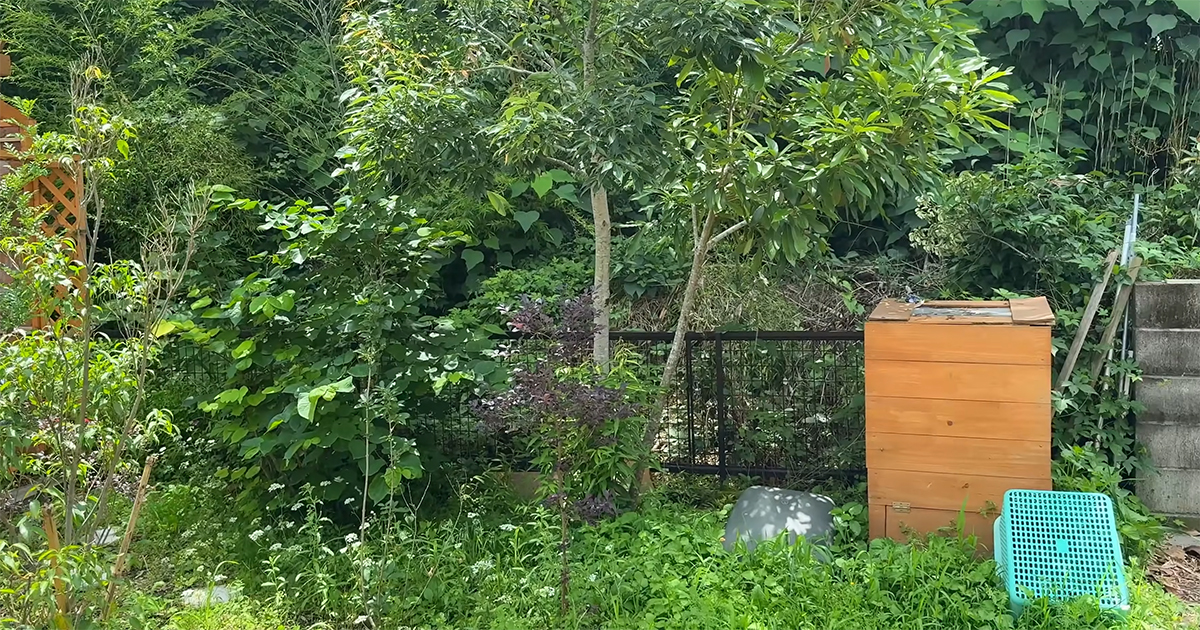 手に負えなかった草ボーボーのフェンス→地道なDIYで……　印象ガラリの大変身に「ここまでできるとは」「いいアイデア」（1/3） | ライフスタイル ねとらぼ