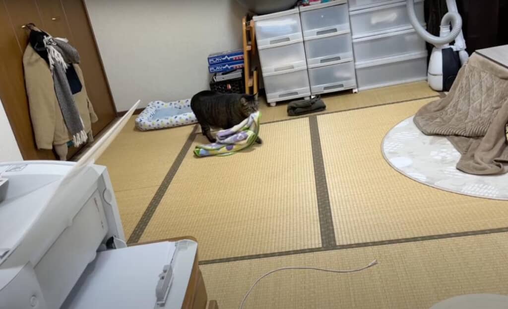 まめたろうくんが何かをくわえています