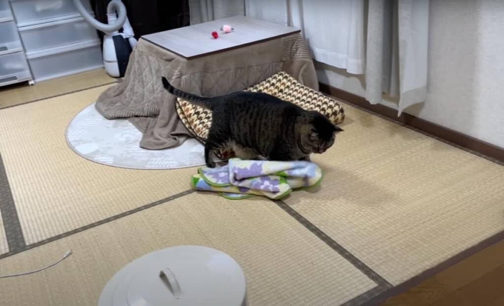 毛布を床に置きました