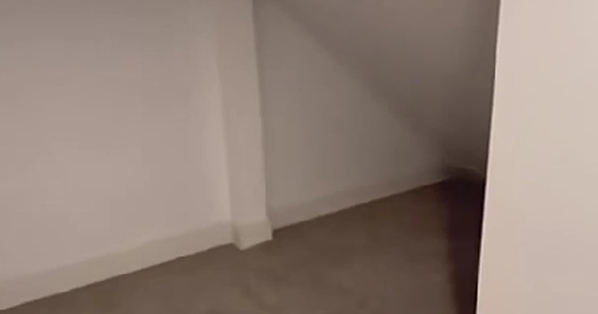 ただの階段下収納を友人に「読書部屋にしたい」とお願いされて……　1690万再生のまさかの仕上がりに「最高すぎ！」【海外】（1/3） | リフォーム・リノベーション・DIY ねとらぼ