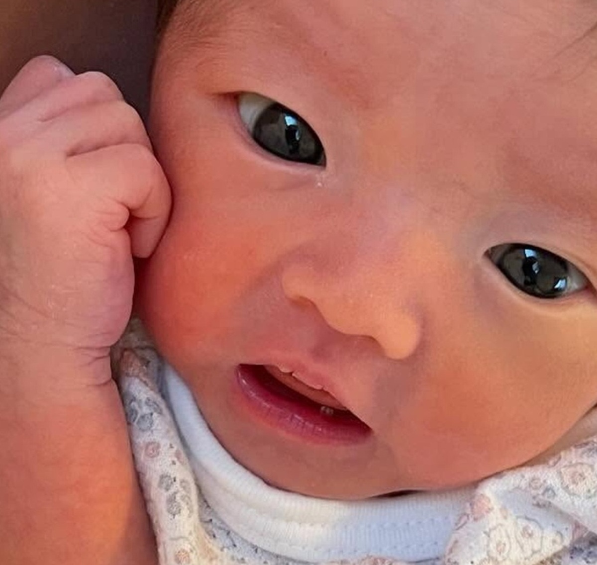 パパが生まれたての赤ちゃんを見ると……「お腹の中に美容院あった？」　驚くほど完璧な髪の毛に反響「次この写真で美容師さんにオーダーします」（1/3） | 教育・子育て ねとらぼ